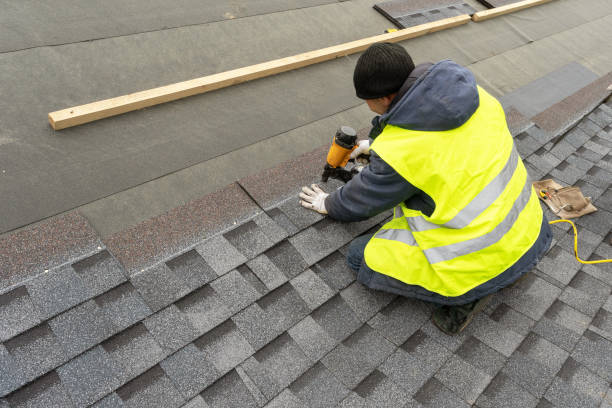 Best Roof Gutter Cleaning  in Vley Grande, AL