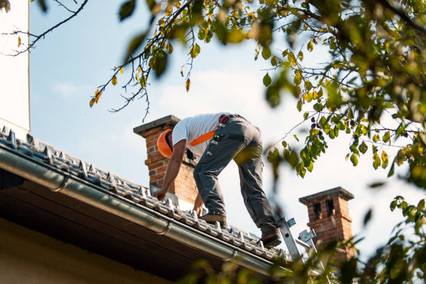 Roof Gutter Cleaning in Valley Grande, AL